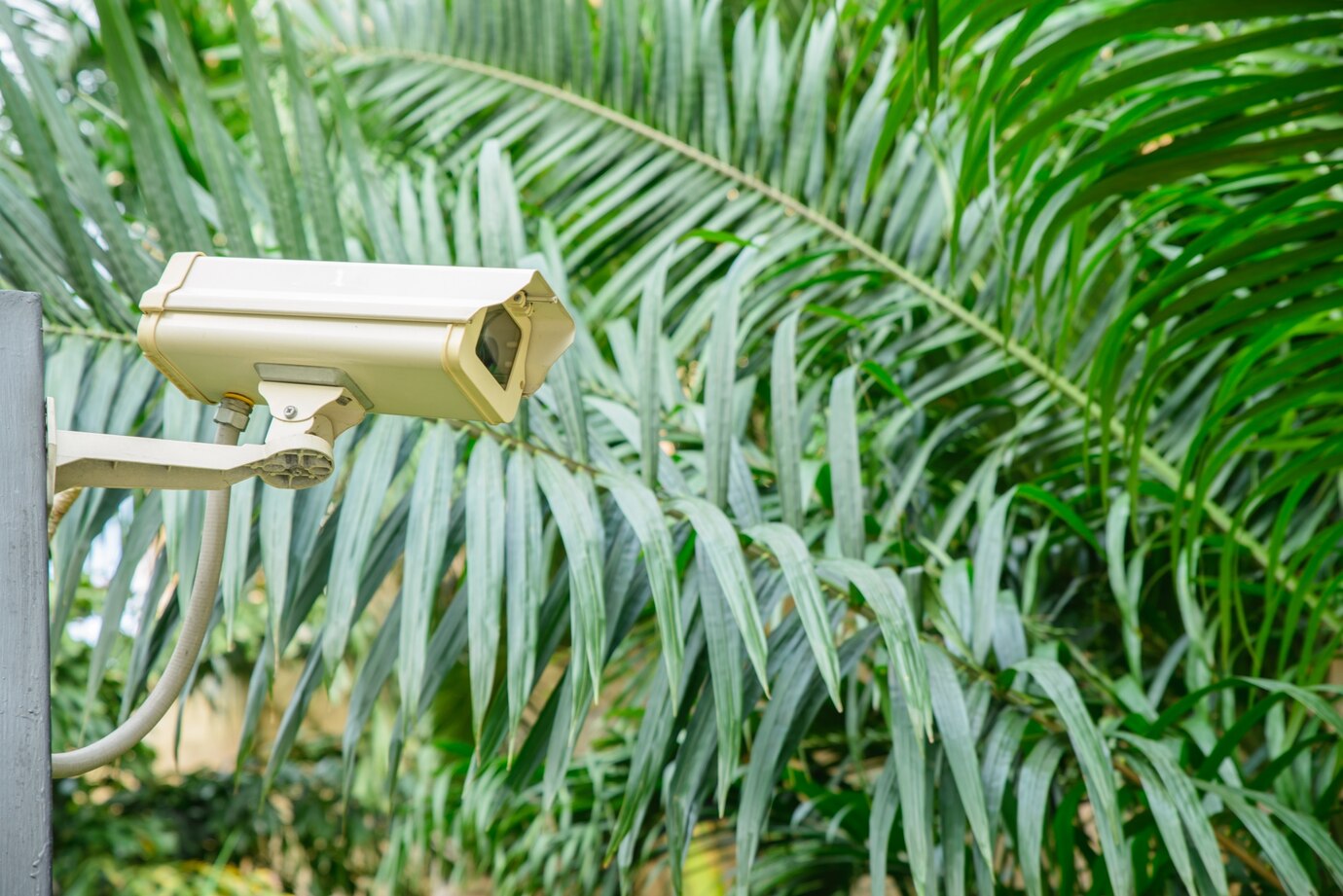 security-camera-monitoring-travel-place_1253-1553 security-camera-monitoring-travel-place_1253-1553
